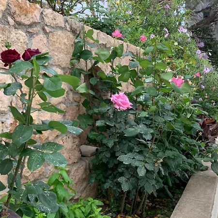 Irene Apartment Skala