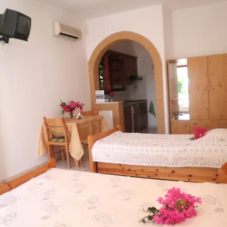 Irene Апартаменты *