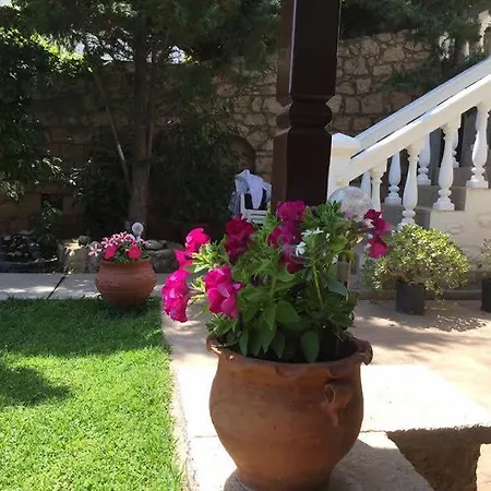 Irene Апартаменты