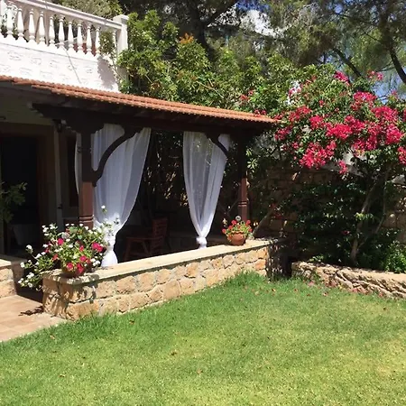 Irene Апартаменты *