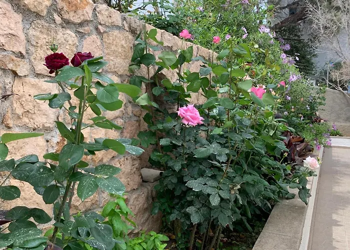 Irene شقة سكالا